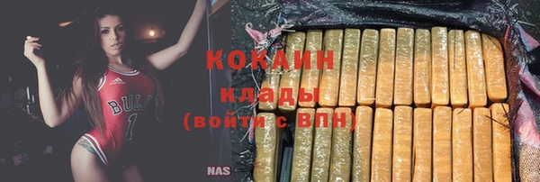 шишки Нея