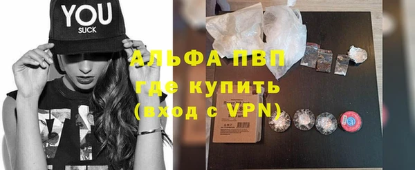 стаф Новодвинск