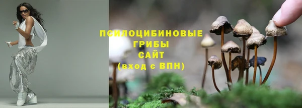 стаф Новодвинск