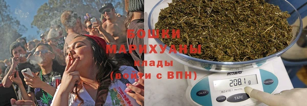 стаф Новодвинск