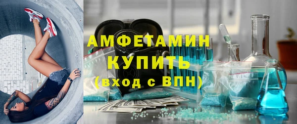 стаф Новодвинск