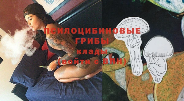 бошки Новозыбков