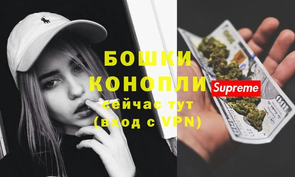 бошки Новозыбков