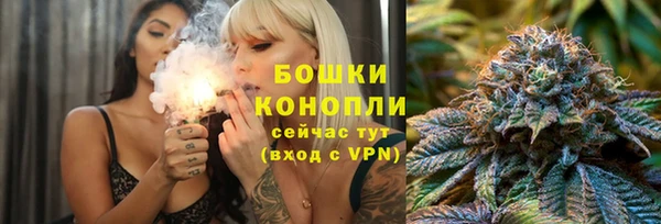 бошки Новозыбков